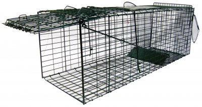Jaula de captura plegable para gatos