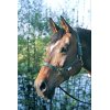 Cabezada pony nylon HIPPO