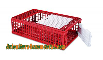 Jaula transporte plástico para gallinas