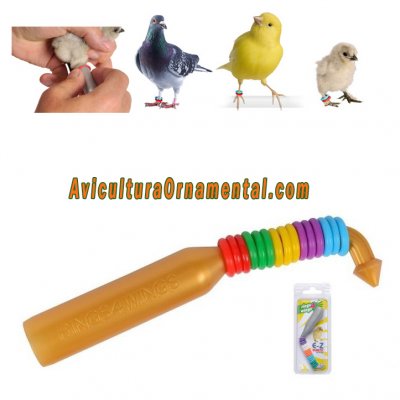 Aplicador de anillas  de marcaje elásticas