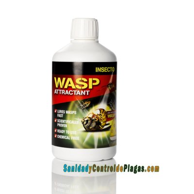 WaspTrap atrayente