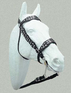 Cabezada montar Western