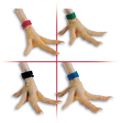 Marca para faisanes