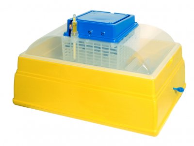 Incubadora Big semiautomática o automática