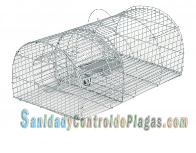 Jaula-trampa para ratas de 41 cm ovalada