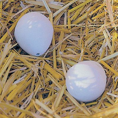Huevos falsos antipicaje cermica