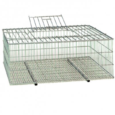 Jaula transporte de aves