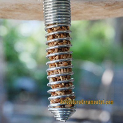 Comedero espiral de campo pequeño