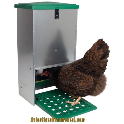 Feedomatic comedero automático