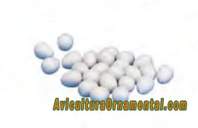 Huevos falsos antipicaje de plástico