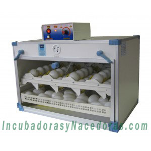 Incubadora SI 72 A (I+N)