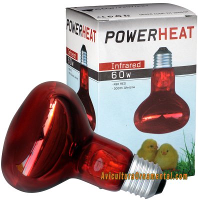 Bombilla infrarroja PowerHEAT 60W