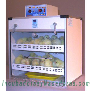 Nacedora SIL 48 HT