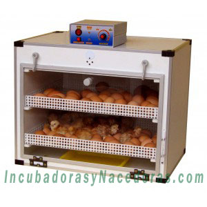 Nacedora SIL 70 HT