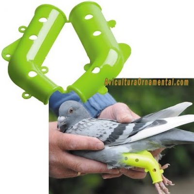 Prótesis para pequeñas aves