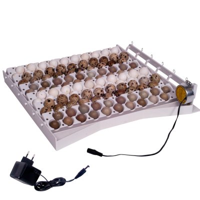 Sistema automtico de volteo para 42 huevos con 6 bandejas
