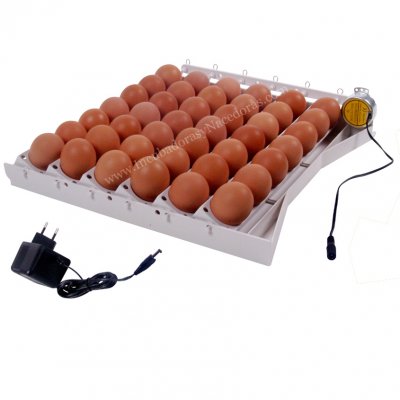 Sistema automtico de volteo para 42 huevos 12 Voltios con adaptador